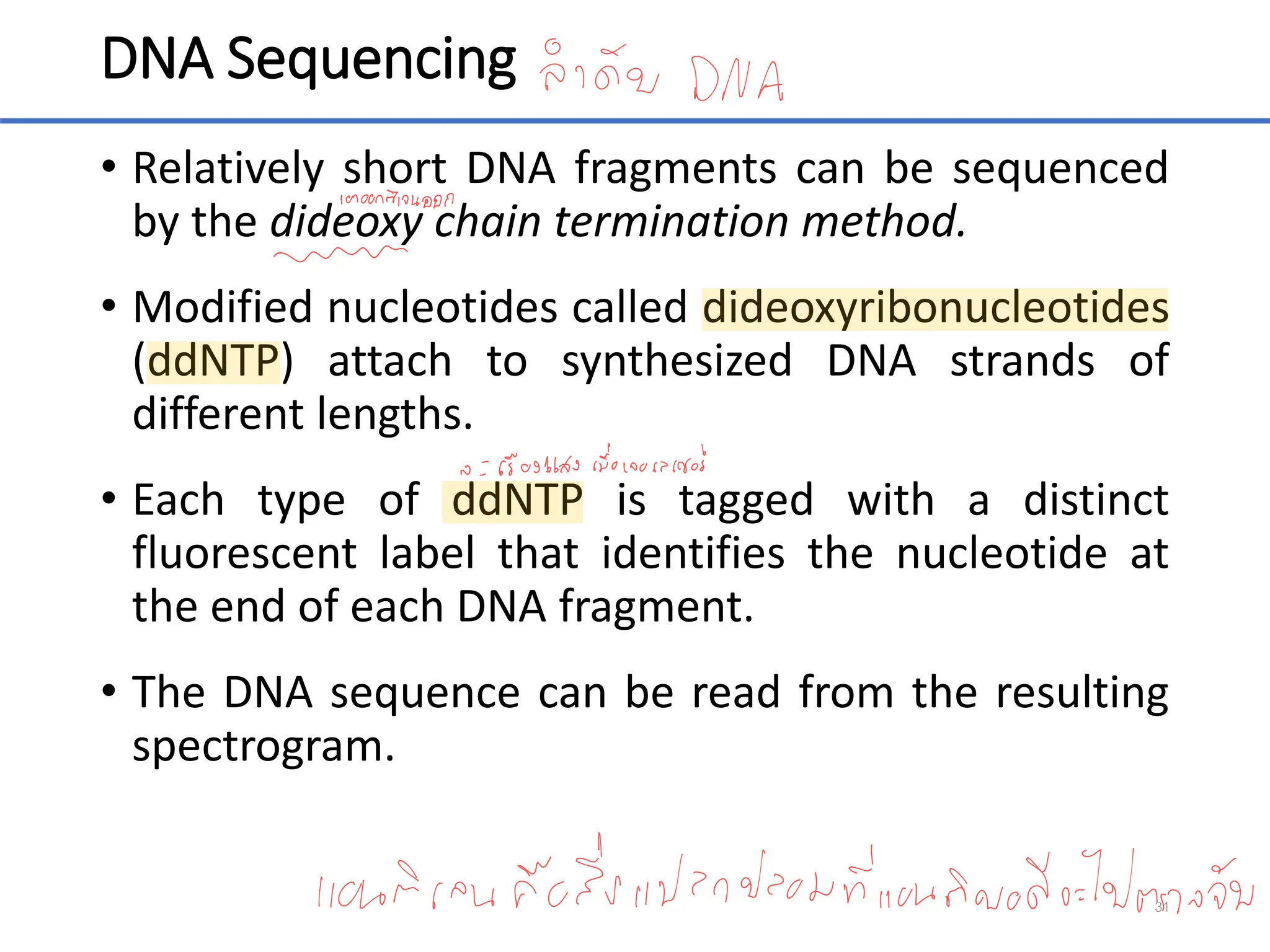 DNA Sequencing
• Relatively short DNA fragments can be sequenced
by the dideoxy chain termination method.
• Modified nucleotides called dideoxyribonucleotides
(ddNTP) attach to synthesized DNA strands of
different lengths.
• Each type of ddNTP is tagged with a distinct
fluorescent label that identifies the nucleotide at
the end of each DNA fragment.
• The DNA sequence can be read from the resulting
spectrogram.
31
 