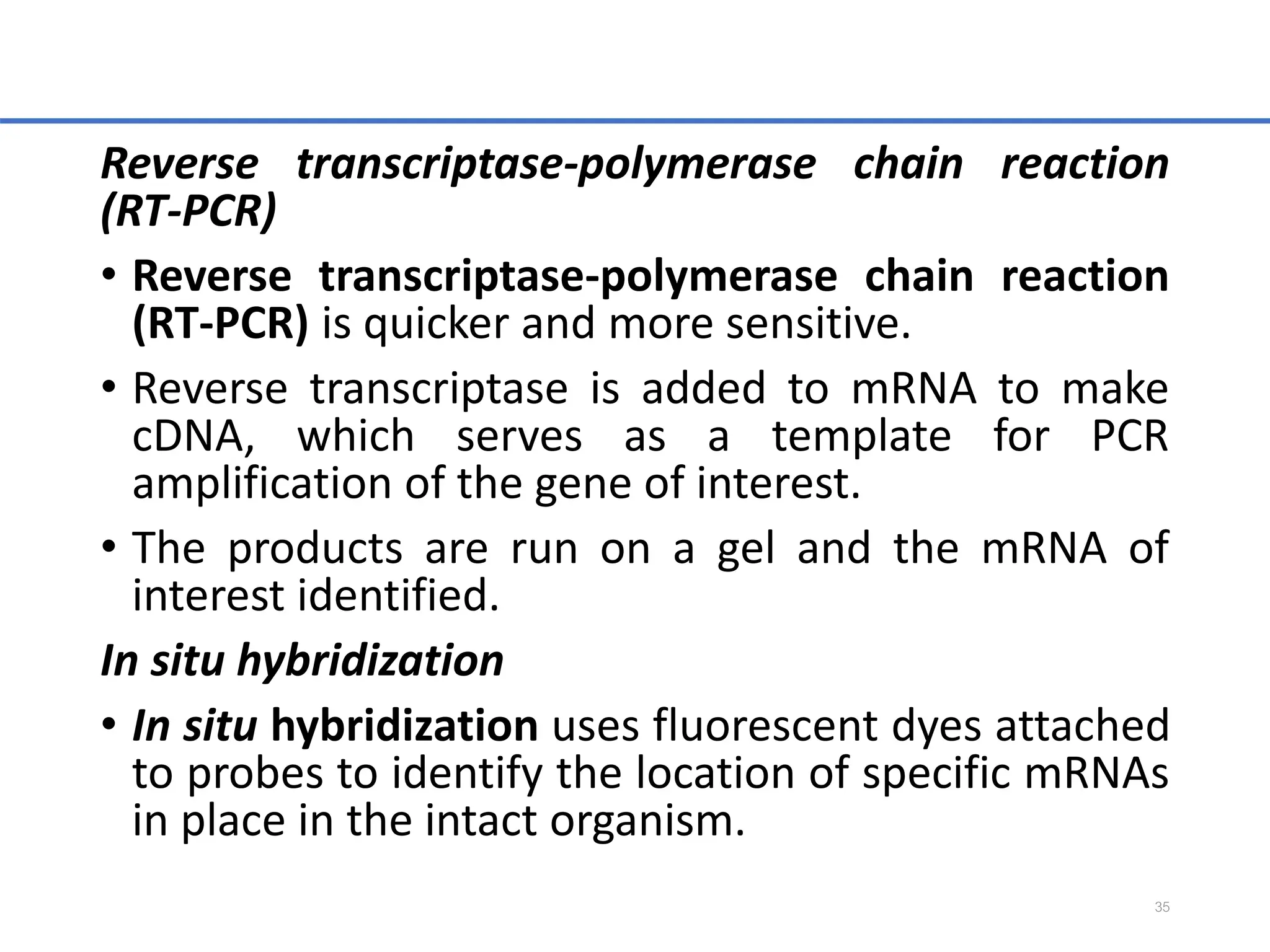 Reverse transcriptase-polymerase chain reaction
(RT-PCR)
• Reverse transcriptase-polymerase chain reaction
(RT-PCR) is quicker and more sensitive.
• Reverse transcriptase is added to mRNA to make
cDNA, which serves as a template for PCR
amplification of the gene of interest.
• The products are run on a gel and the mRNA of
interest identified.
In situ hybridization
• In situ hybridization uses fluorescent dyes attached
to probes to identify the location of specific mRNAs
in place in the intact organism.
35
 