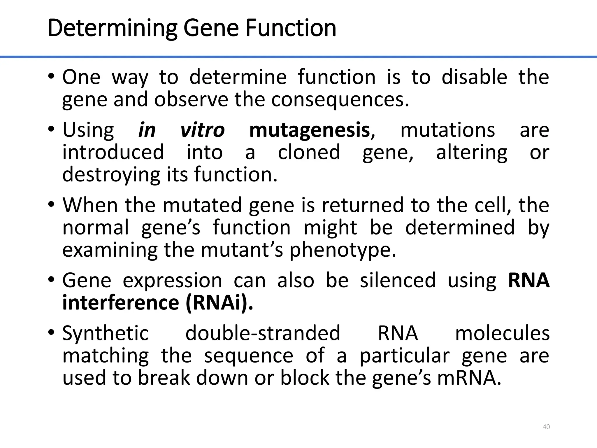 Determining Gene Function
• One way to determine function is to disable the
gene and observe the consequences.
• Using in vitro mutagenesis, mutations are
introduced into a cloned gene, altering or
destroying its function.
• When the mutated gene is returned to the cell, the
normal gene’s function might be determined by
examining the mutant’s phenotype.
• Gene expression can also be silenced using RNA
interference (RNAi).
• Synthetic double-stranded RNA molecules
matching the sequence of a particular gene are
used to break down or block the gene’s mRNA.
40
 