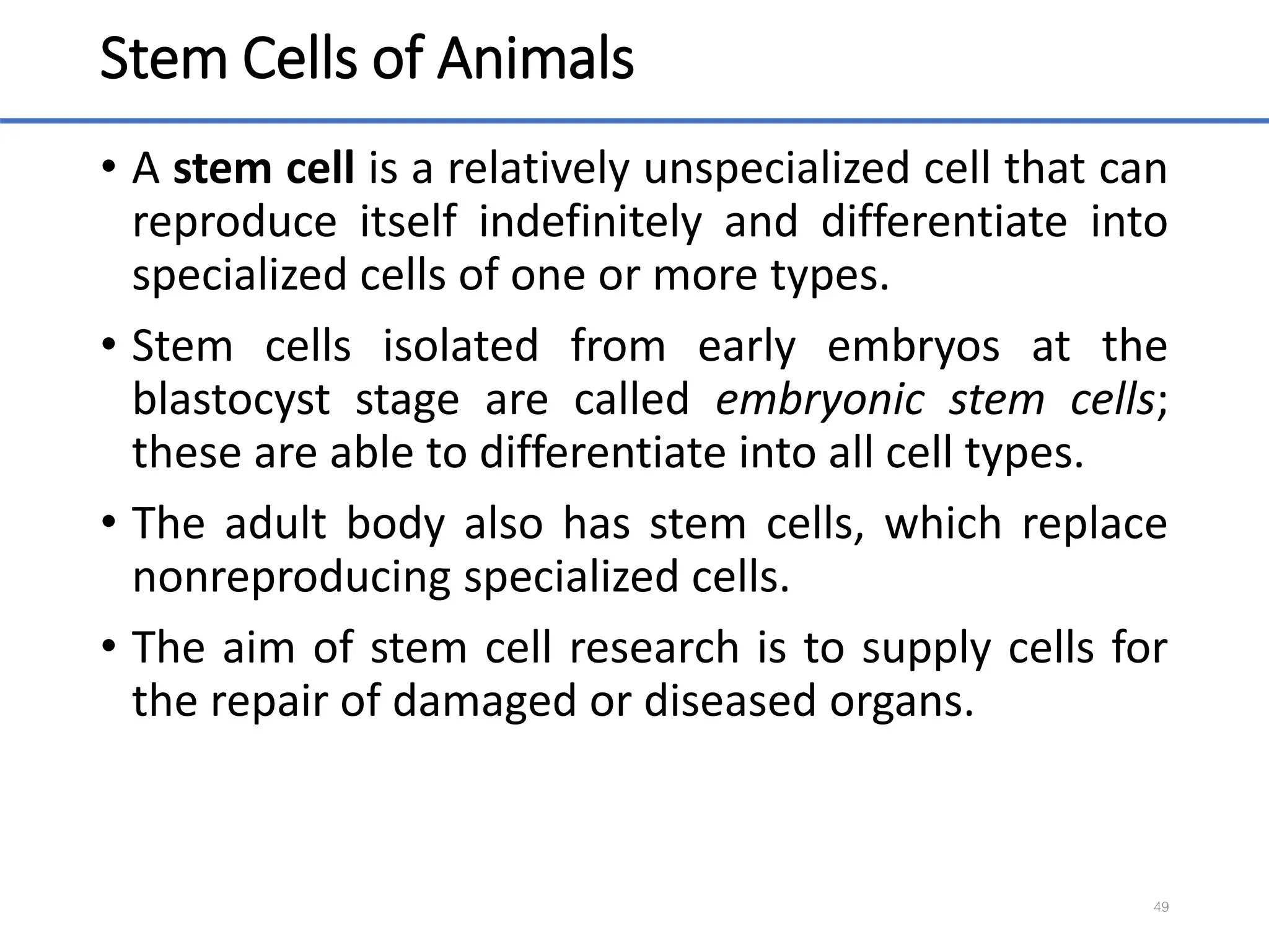 Stem Cells of Animals
• A stem cell is a relatively unspecialized cell that can
reproduce itself indefinitely and differentiate into
specialized cells of one or more types.
• Stem cells isolated from early embryos at the
blastocyst stage are called embryonic stem cells;
these are able to differentiate into all cell types.
• The adult body also has stem cells, which replace
nonreproducing specialized cells.
• The aim of stem cell research is to supply cells for
the repair of damaged or diseased organs.
49
 