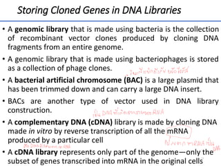 Storing Cloned Genes in DNA Libraries
• A genomic library that is made using bacteria is the collection
of recombinant vector clones produced by cloning DNA
fragments from an entire genome.
• A genomic library that is made using bacteriophages is stored
as a collection of phage clones.
• A bacterial artificial chromosome (BAC) is a large plasmid that
has been trimmed down and can carry a large DNA insert.
• BACs are another type of vector used in DNA library
construction.
• A complementary DNA (cDNA) library is made by cloning DNA
made in vitro by reverse transcription of all the mRNA
produced by a particular cell
• A cDNA library represents only part of the genome—only the
subset of genes transcribed into mRNA in the original cells
13
 