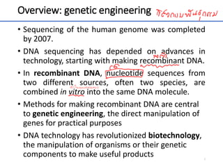 Overview: genetic engineering
• Sequencing of the human genome was completed
by 2007.
• DNA sequencing has depended on advances in
technology, starting with making recombinant DNA.
• In recombinant DNA, nucleotide sequences from
two different sources, often two species, are
combined in vitro into the same DNA molecule.
• Methods for making recombinant DNA are central
to genetic engineering, the direct manipulation of
genes for practical purposes
• DNA technology has revolutionized biotechnology,
the manipulation of organisms or their genetic
components to make useful products 3
 