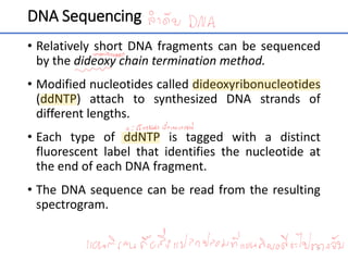 DNA Sequencing
• Relatively short DNA fragments can be sequenced
by the dideoxy chain termination method.
• Modified nucleotides called dideoxyribonucleotides
(ddNTP) attach to synthesized DNA strands of
different lengths.
• Each type of ddNTP is tagged with a distinct
fluorescent label that identifies the nucleotide at
the end of each DNA fragment.
• The DNA sequence can be read from the resulting
spectrogram.
31
 