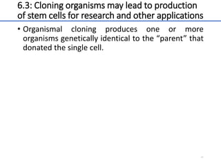 6.3: Cloning organisms may lead to production
of stem cells for research and other applications
• Organismal cloning produces one or more
organisms genetically identical to the “parent” that
donated the single cell.
41
 