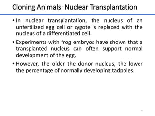 Cloning Animals: Nuclear Transplantation
• In nuclear transplantation, the nucleus of an
unfertilized egg cell or zygote is replaced with the
nucleus of a differentiated cell.
• Experiments with frog embryos have shown that a
transplanted nucleus can often support normal
development of the egg.
• However, the older the donor nucleus, the lower
the percentage of normally developing tadpoles.
44
 