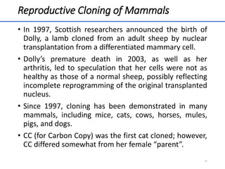Reproductive Cloning of Mammals
• In 1997, Scottish researchers announced the birth of
Dolly, a lamb cloned from an adult sheep by nuclear
transplantation from a differentiated mammary cell.
• Dolly’s premature death in 2003, as well as her
arthritis, led to speculation that her cells were not as
healthy as those of a normal sheep, possibly reflecting
incomplete reprogramming of the original transplanted
nucleus.
• Since 1997, cloning has been demonstrated in many
mammals, including mice, cats, cows, horses, mules,
pigs, and dogs.
• CC (for Carbon Copy) was the first cat cloned; however,
CC differed somewhat from her female “parent”.
46
 