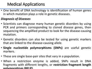 Medical Applications
• One benefit of DNA technology is identification of human genes
in which mutation plays a role in genetic diseases.
Diagnosis of Diseases
• Scientists can diagnose many human genetic disorders by using
PCR and primers corresponding to cloned disease genes, then
sequencing the amplified product to look for the disease-causing
mutation.
• Genetic disorders can also be tested for using genetic markers
that are linked to the disease-causing allele.
• Single nucleotide polymorphisms (SNPs) are useful genetic
markers.
• These are single base-pair sites that vary in a population.
• When a restriction enzyme is added, SNPs result in DNA
fragments with different lengths, or restriction fragment length
52
 