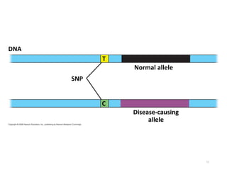 53
Disease-causing
allele
DNA
SNP
Normal allele
T
C
 