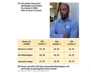 60
This photo shows Earl
Washington just before
his release in 2001,
after 17 years in prison.
These and other STR data exonerated Washington and
led Tinsley to plead guilty to the murder.
(a)
Semen on victim
Earl Washington
Source of
sample
Kenneth Tinsley
STR
marker 1
STR
marker 2
STR
marker 3
(b)
17, 19
16, 18
17, 19
13, 16 12, 12
14, 15 11, 12
13, 16 12, 12
 