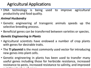Agricultural Applications
• DNA technology is being used to improve agricultural
productivity and food quality.
Animal Husbandry
• Genetic engineering of transgenic animals speeds up the
selective breeding process.
• Beneficial genes can be transferred between varieties or species.
Genetic Engineering in Plants
• Agricultural scientists have endowed a number of crop plants
with genes for desirable traits.
• The Ti plasmid is the most commonly used vector for introducing
new genes into plant cells.
• Genetic engineering in plants has been used to transfer many
useful genes including those for herbicide resistance, increased
resistance to pests, increased resistance to salinity, and improved
62
 