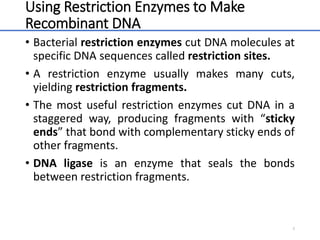 Using Restriction Enzymes to Make
Recombinant DNA
• Bacterial restriction enzymes cut DNA molecules at
specific DNA sequences called restriction sites.
• A restriction enzyme usually makes many cuts,
yielding restriction fragments.
• The most useful restriction enzymes cut DNA in a
staggered way, producing fragments with “sticky
ends” that bond with complementary sticky ends of
other fragments.
• DNA ligase is an enzyme that seals the bonds
between restriction fragments.
8
 
