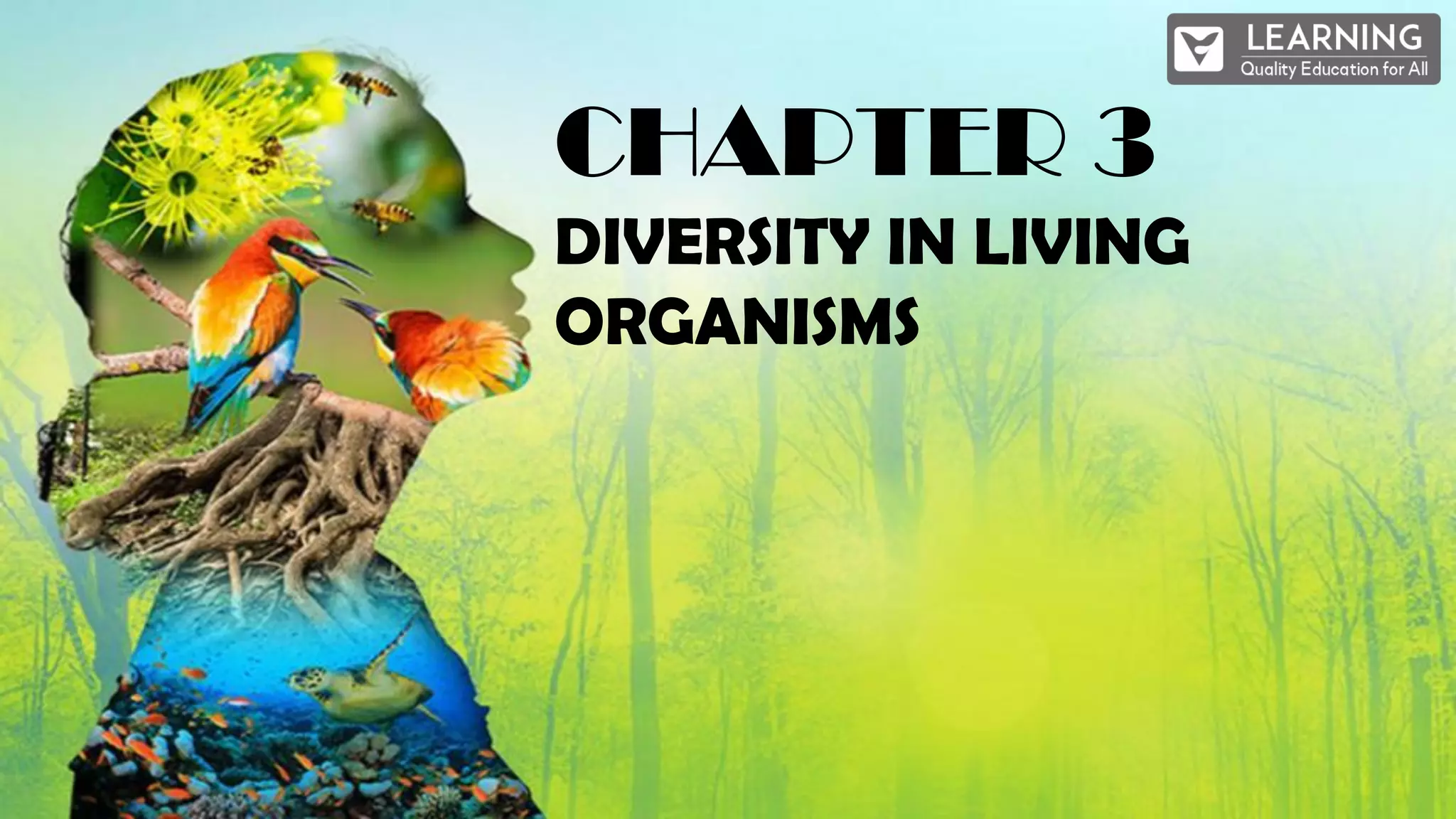 CHAPTER 3
DIVERSITY IN LIVING
ORGANISMS
