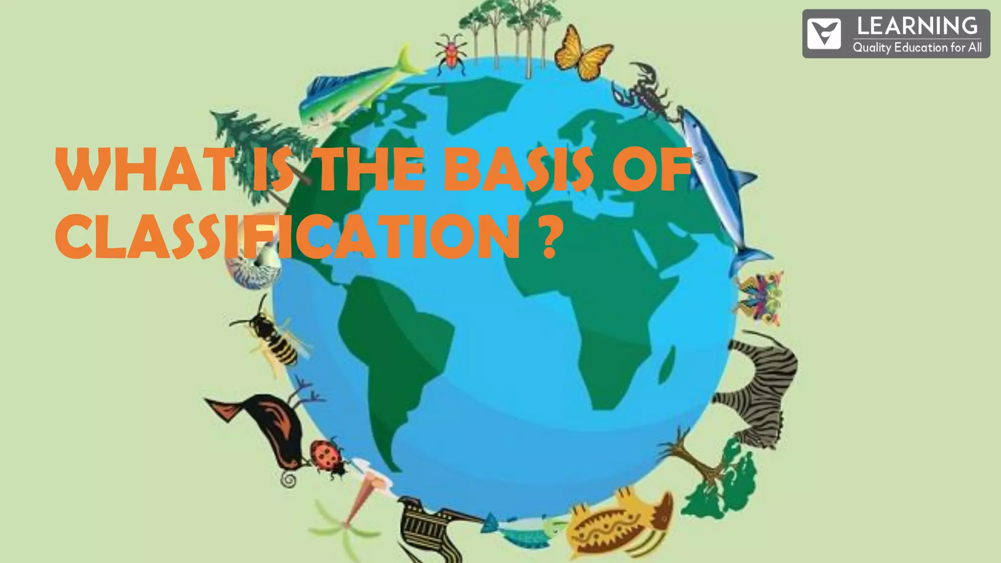 WHAT IS THE BASIS OF
CLASSIFICATION ?