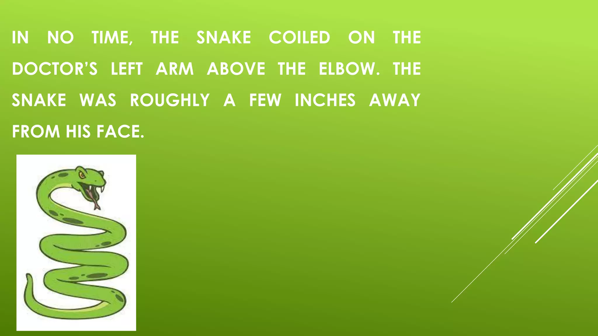 IN NO TIME, THE SNAKE COILED ON THE
DOCTOR’S LEFT ARM ABOVE THE ELBOW. THE
SNAKE WAS ROUGHLY A FEW INCHES AWAY
FROM HIS FACE.
 