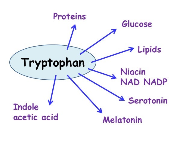 Indole Ring Melatonin Indole Ring Melatonin