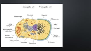 Class 9 Science Bio CH 1 Session 2