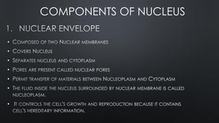 •
•
•
•
•
•
•
COMPONENTS OF NUCLEUS