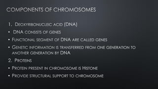 1.
•
•
•
•
•