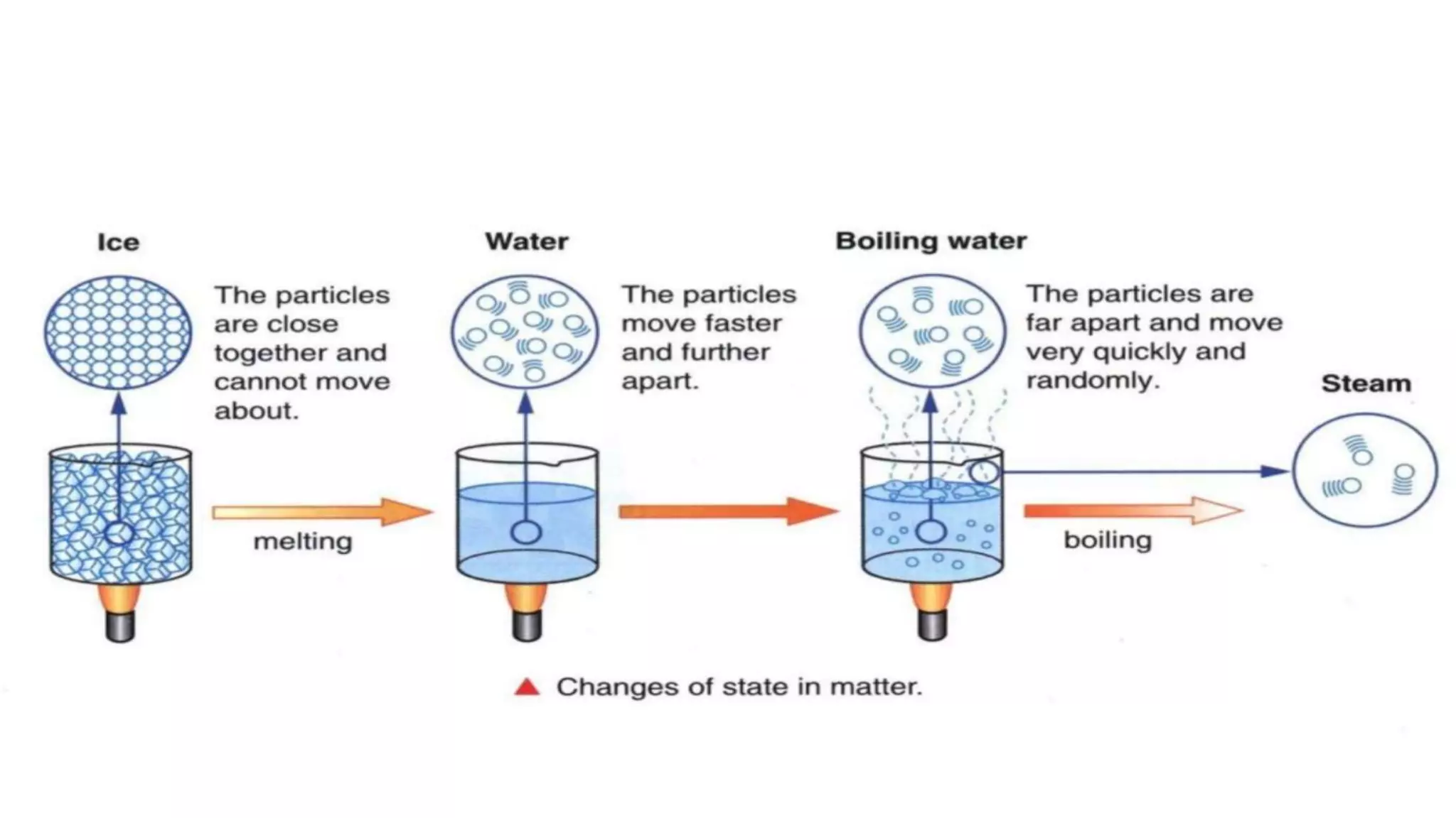 Class 9 science chapter 1