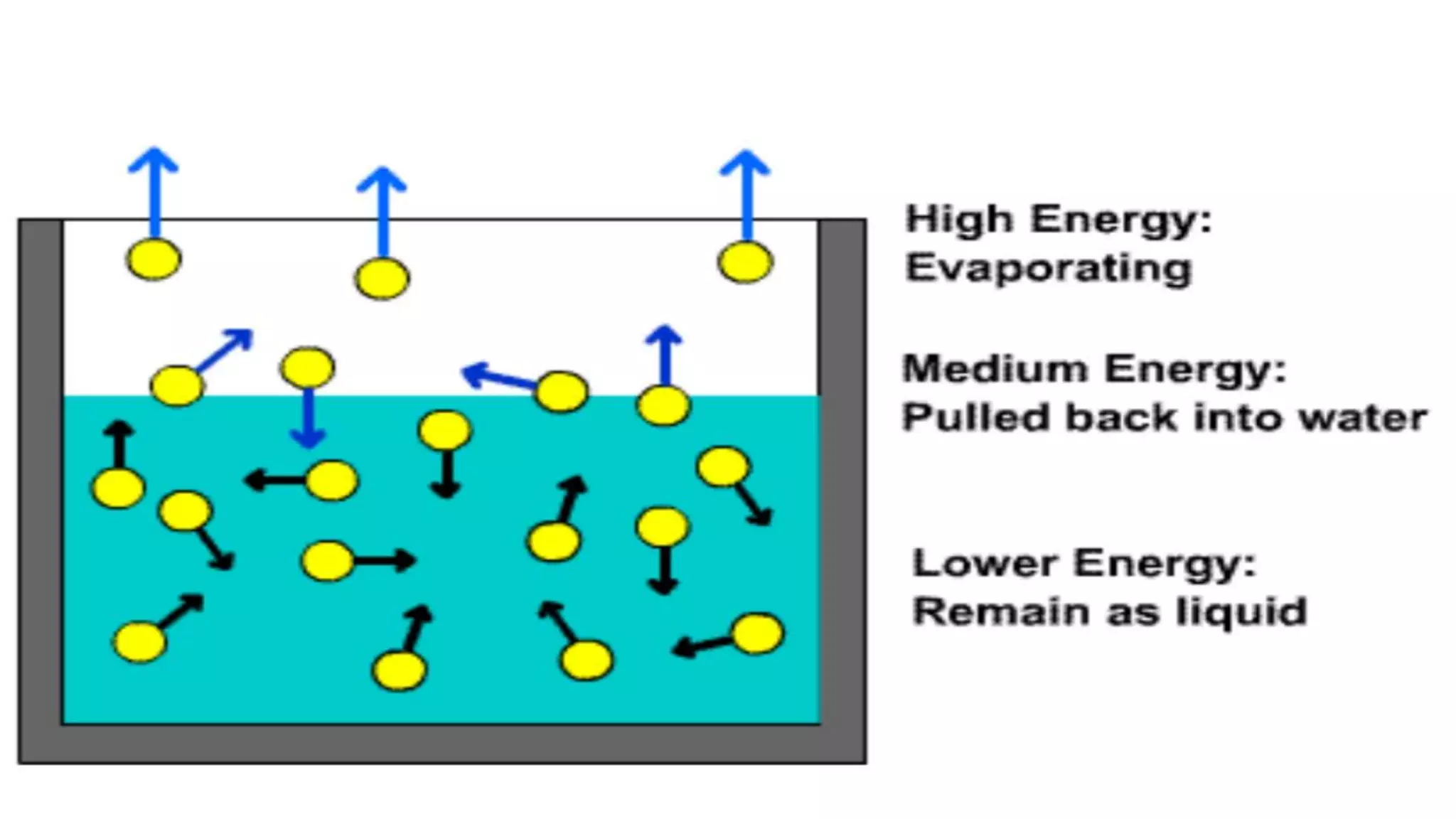 Class 9 science chapter 1