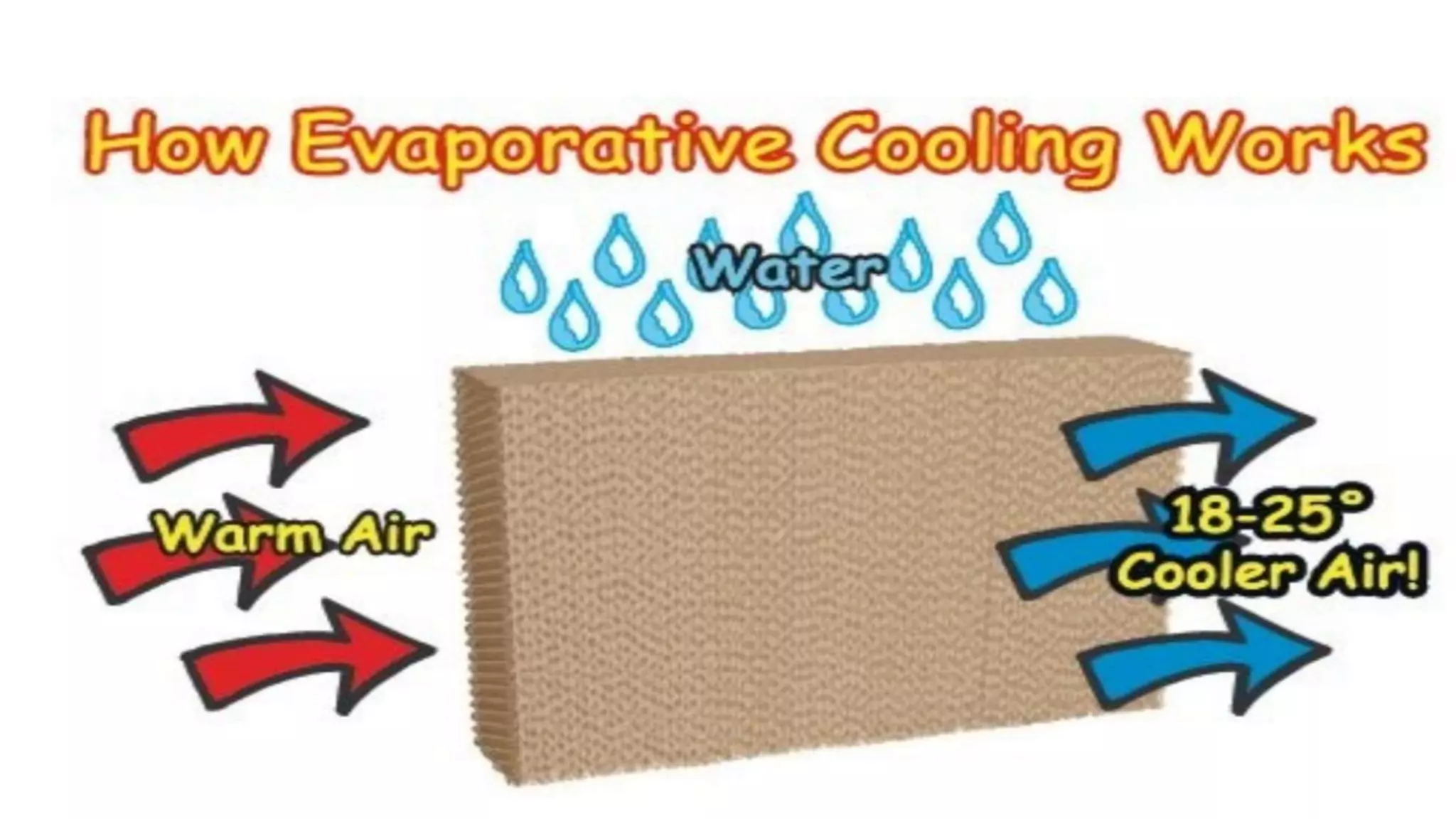 Class 9 science chapter 1