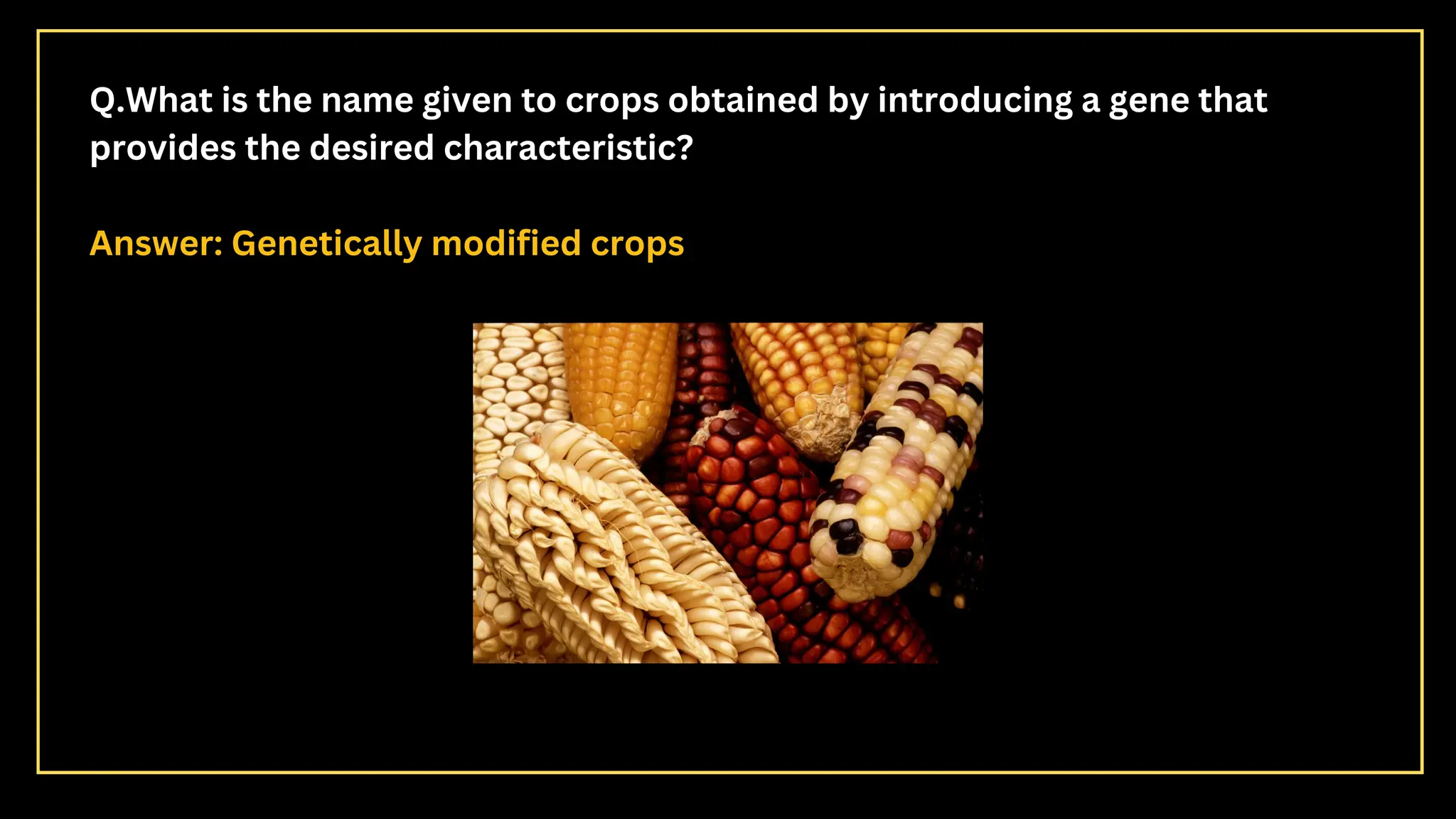 Q.What is the name given to crops obtained by introducing a gene that
provides the desired characteristic?
Answer: Genetically modified crops
 