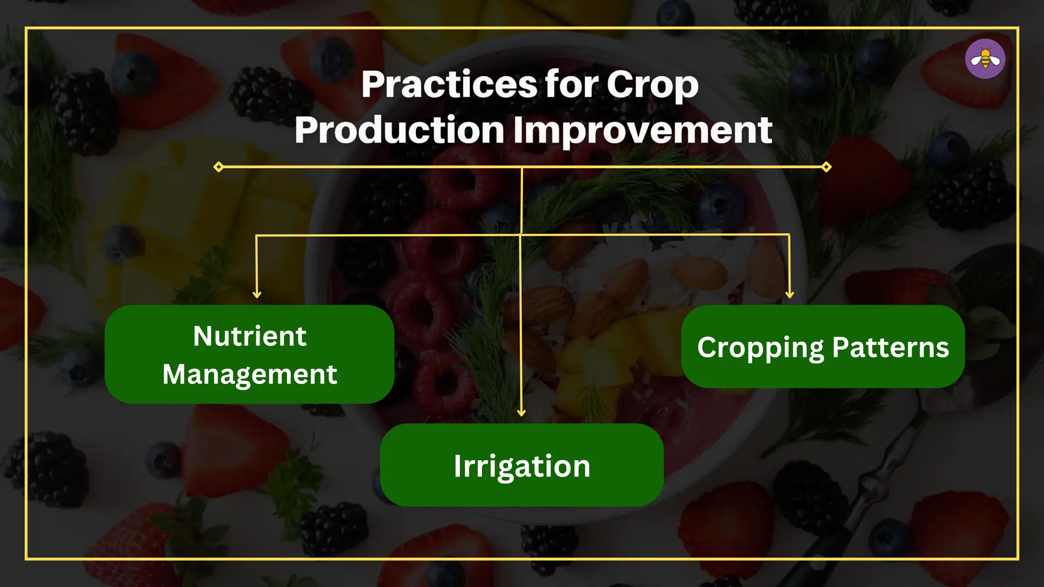 Nutrient
Management
Cropping Patterns
Irrigation
 