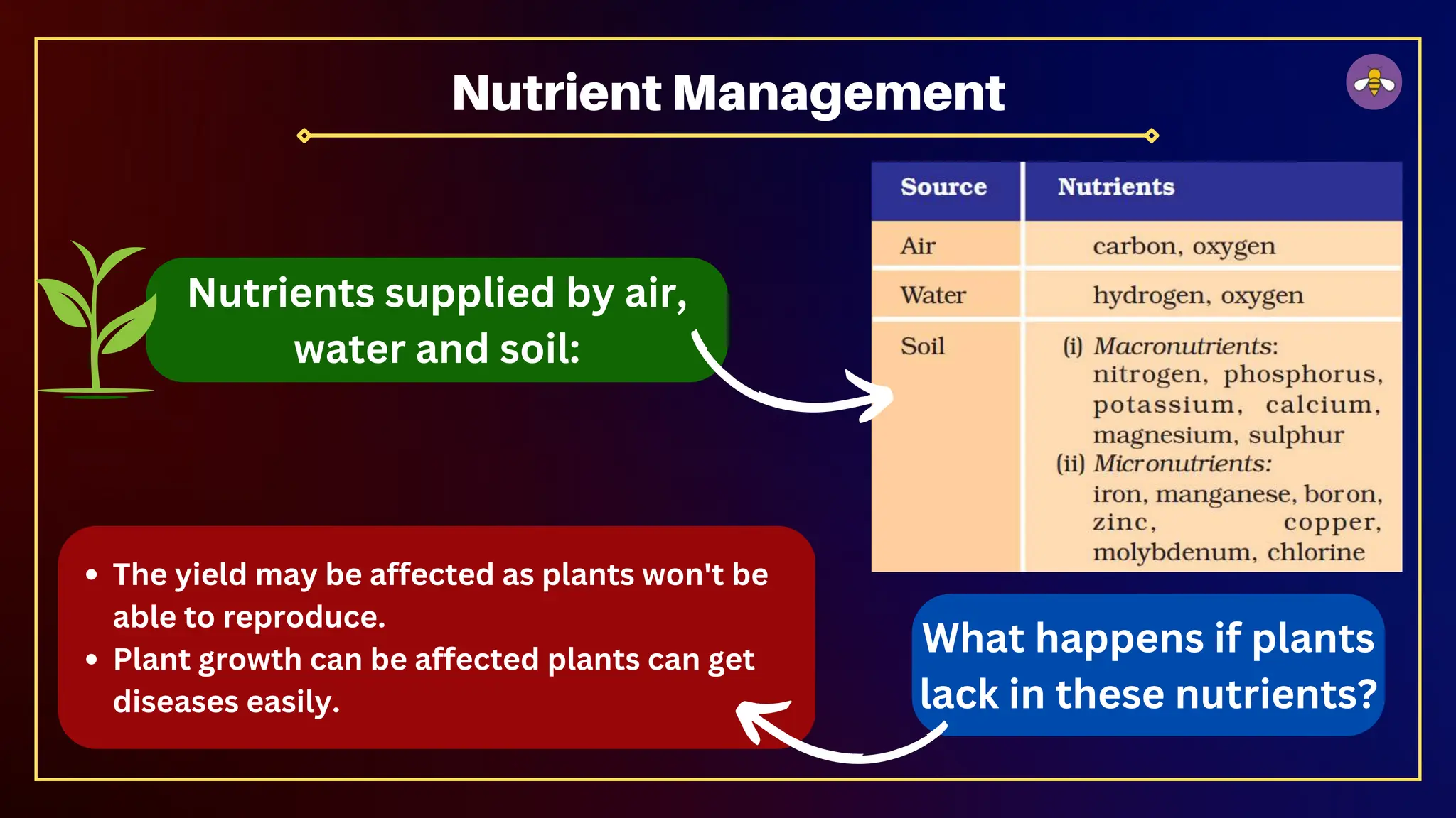 Nutrients supplied by air,
water and soil:
Nutrient Management
What happens if plants
lack in these nutrients?
The yield may be affected as plants won't be
able to reproduce.
Plant growth can be affected plants can get
diseases easily.
 