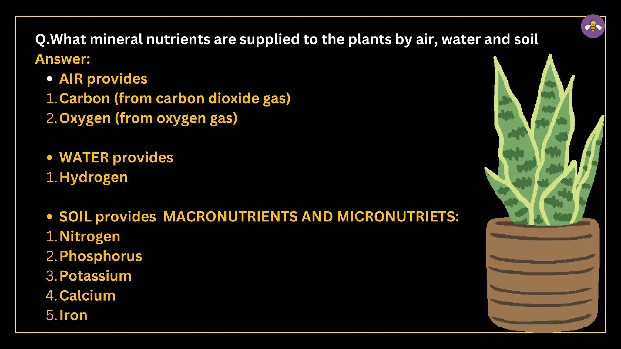 Q.What mineral nutrients are supplied to the plants by air, water and soil
Answer:
AIR provides
Carbon (from carbon dioxide gas)
1.
Oxygen (from oxygen gas)
2.
WATER provides
Hydrogen
1.
SOIL provides MACRONUTRIENTS AND MICRONUTRIETS:
Nitrogen
1.
Phosphorus
2.
Potassium
3.
Calcium
4.
Iron
5.
 