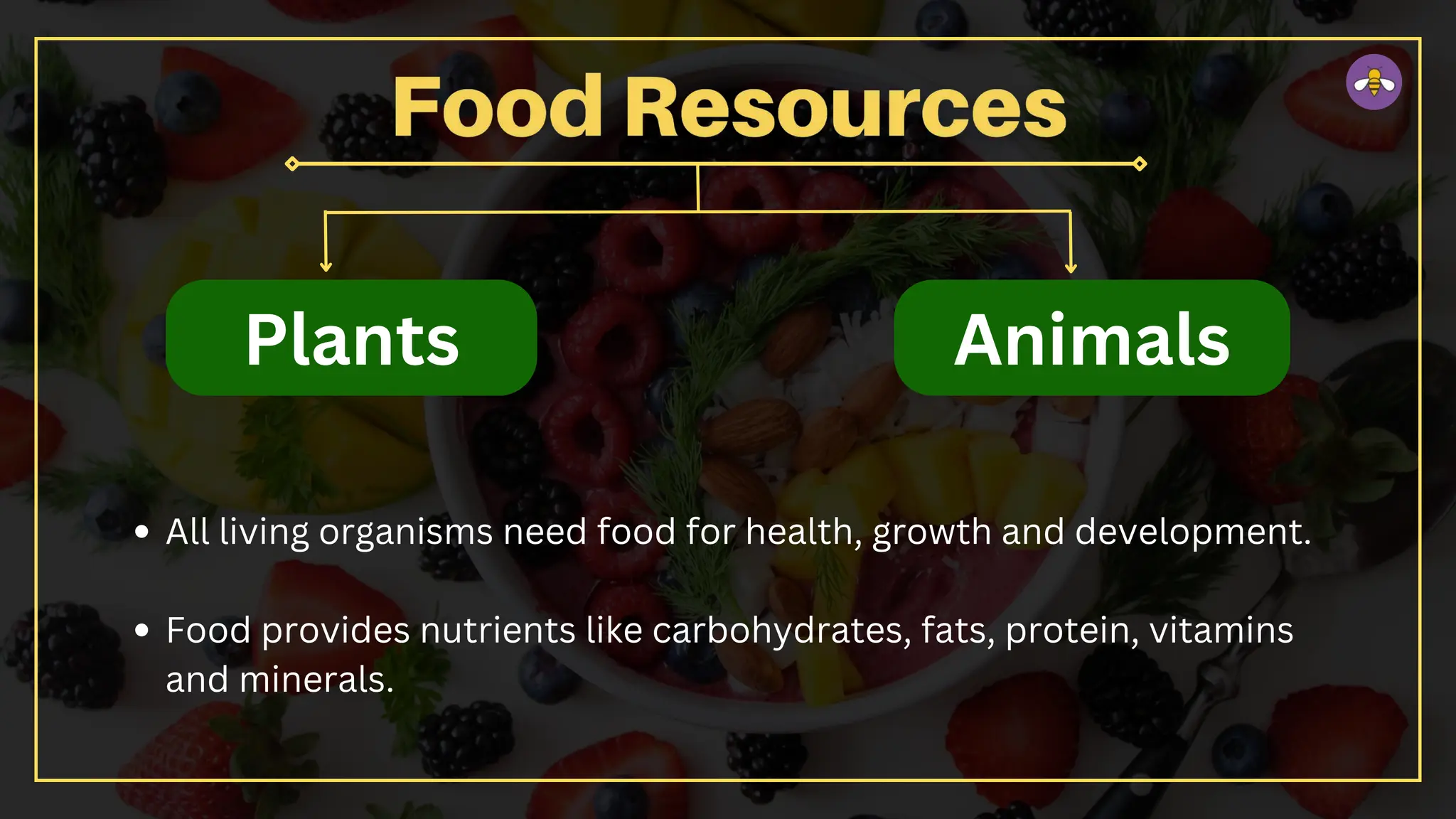 Plants Animals
All living organisms need food for health, growth and development.
Food provides nutrients like carbohydrates, fats, protein, vitamins
and minerals.
 
