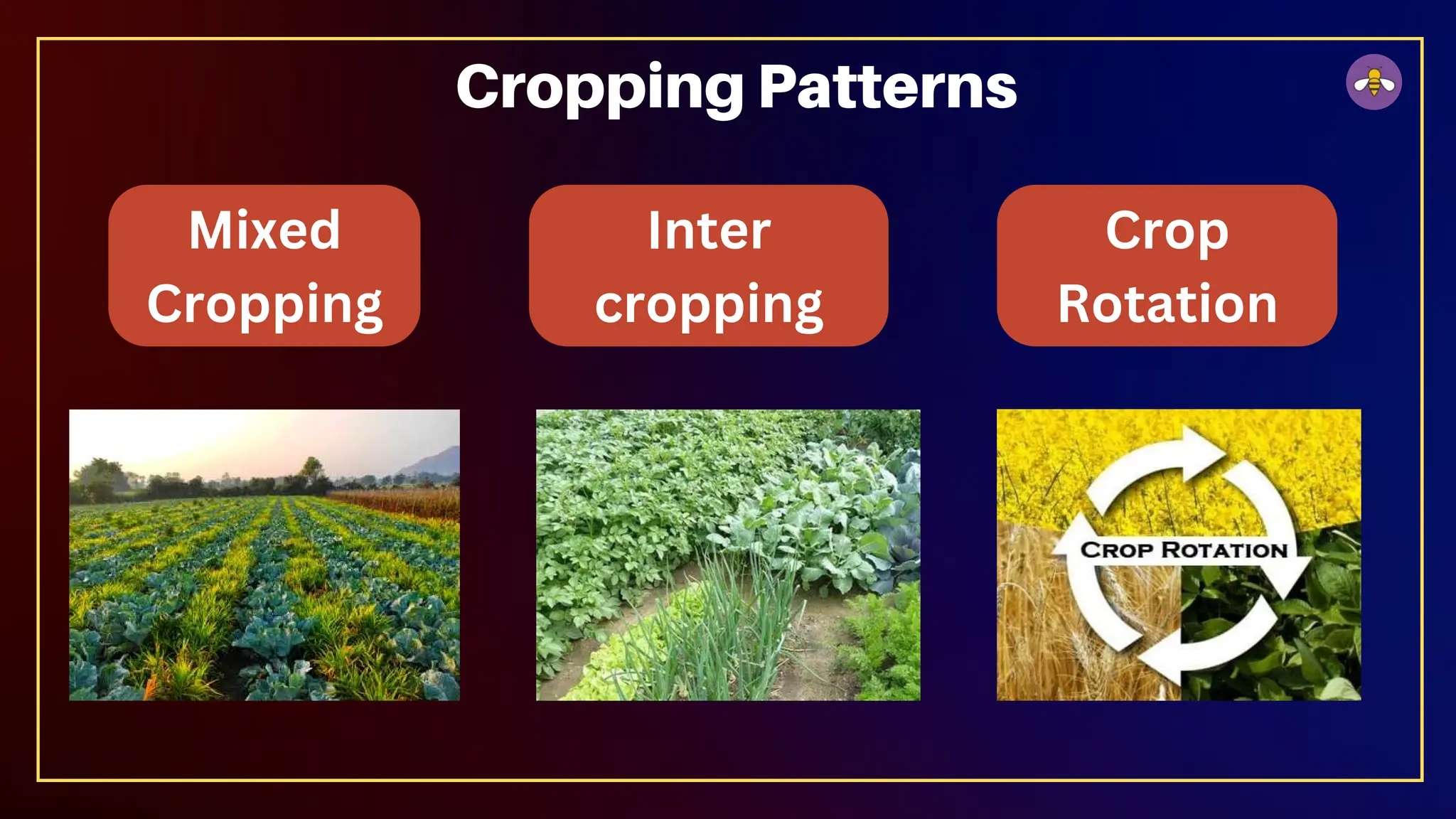 Mixed
Cropping
Inter
cropping
Cropping Patterns
Crop
Rotation
 