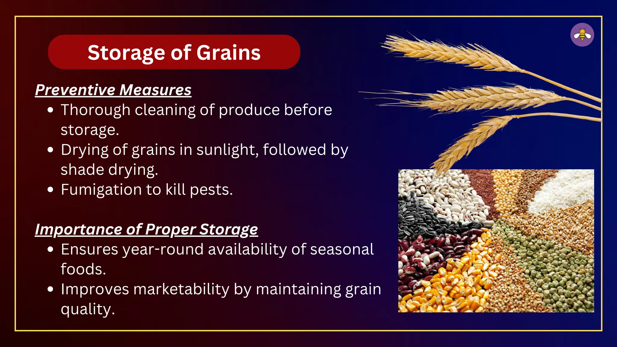 Storage of Grains
Preventive Measures
Thorough cleaning of produce before
storage.
Drying of grains in sunlight, followed by
shade drying.
Fumigation to kill pests.
Importance of Proper Storage
Ensures year-round availability of seasonal
foods.
Improves marketability by maintaining grain
quality.
 