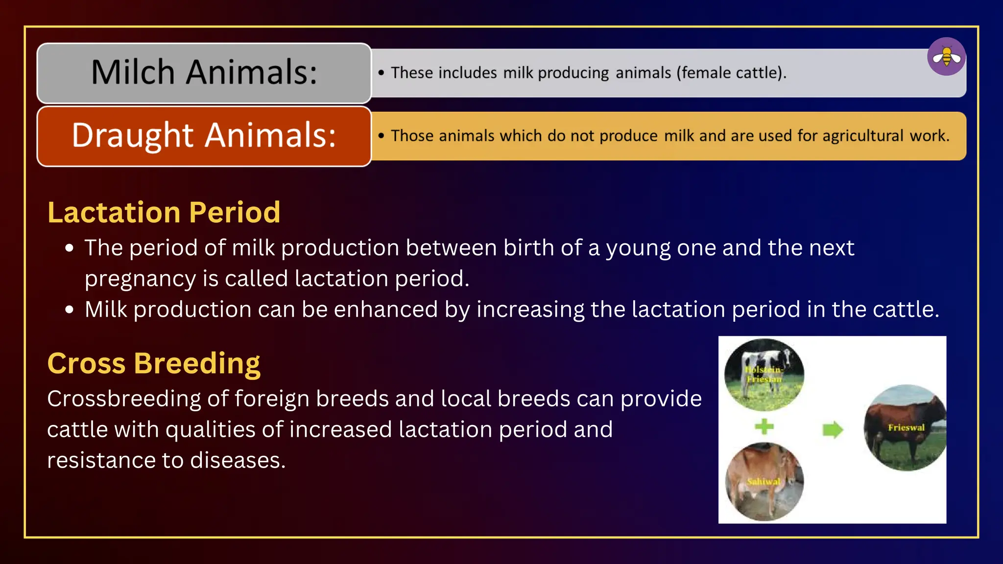 Lactation Period
The period of milk production between birth of a young one and the next
pregnancy is called lactation period.
Milk production can be enhanced by increasing the lactation period in the cattle.
Cross Breeding
Crossbreeding of foreign breeds and local breeds can provide
cattle with qualities of increased lactation period and
resistance to diseases.
 