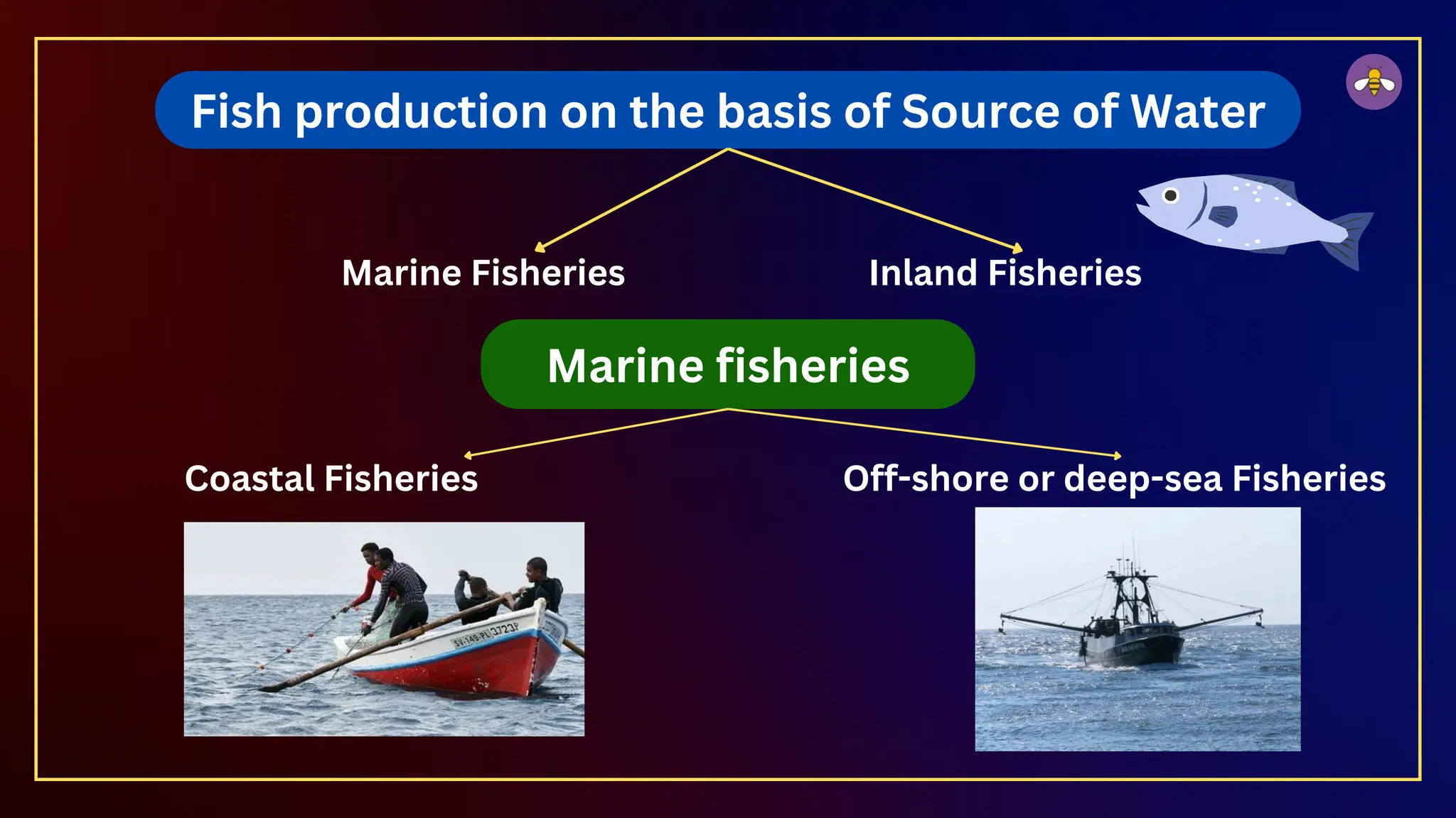 Marine Fisheries
Fish production on the basis of Source of Water
Inland Fisheries
Coastal Fisheries
Marine fisheries
Off-shore or deep-sea Fisheries
 