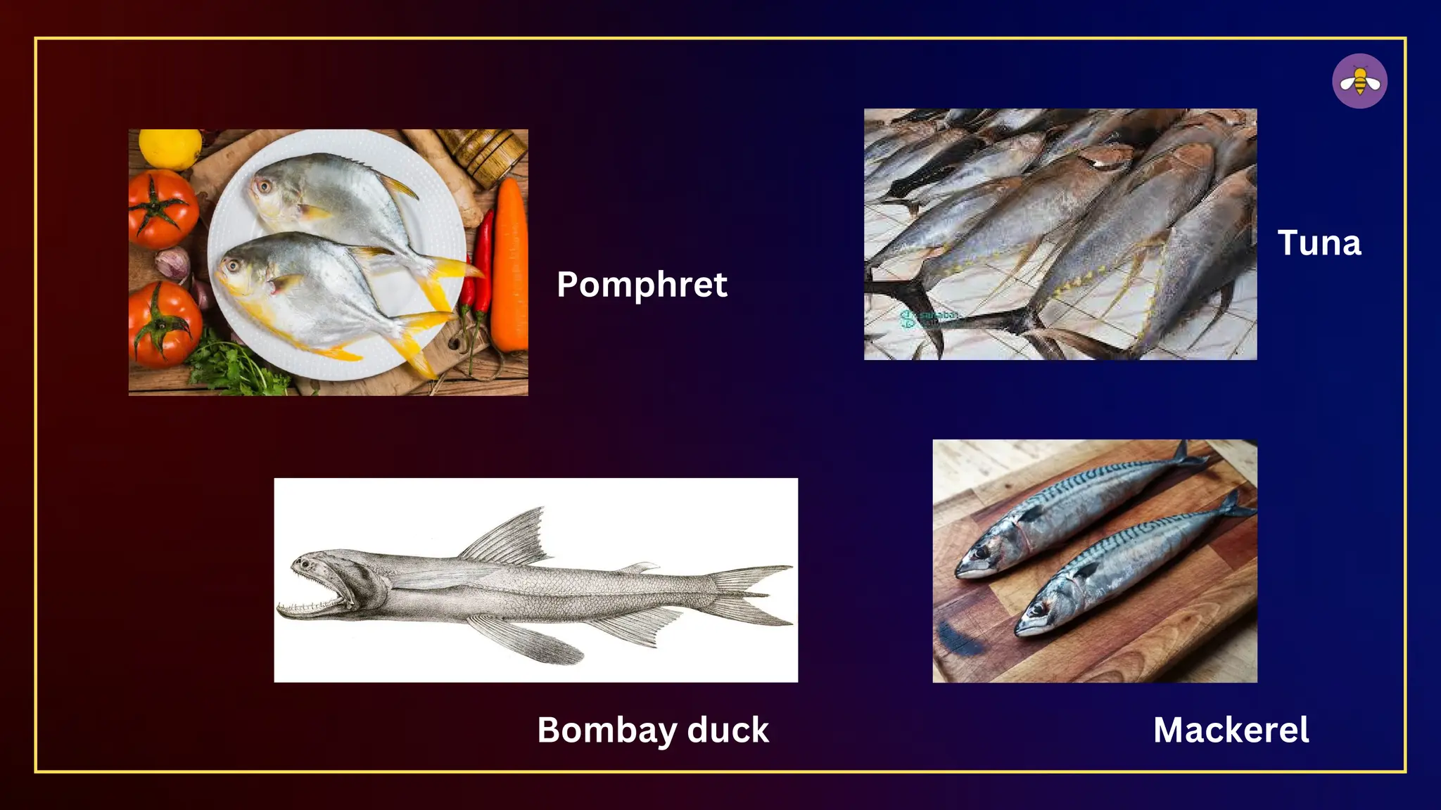 Pomphret
Mackerel
Bombay duck
Tuna
 