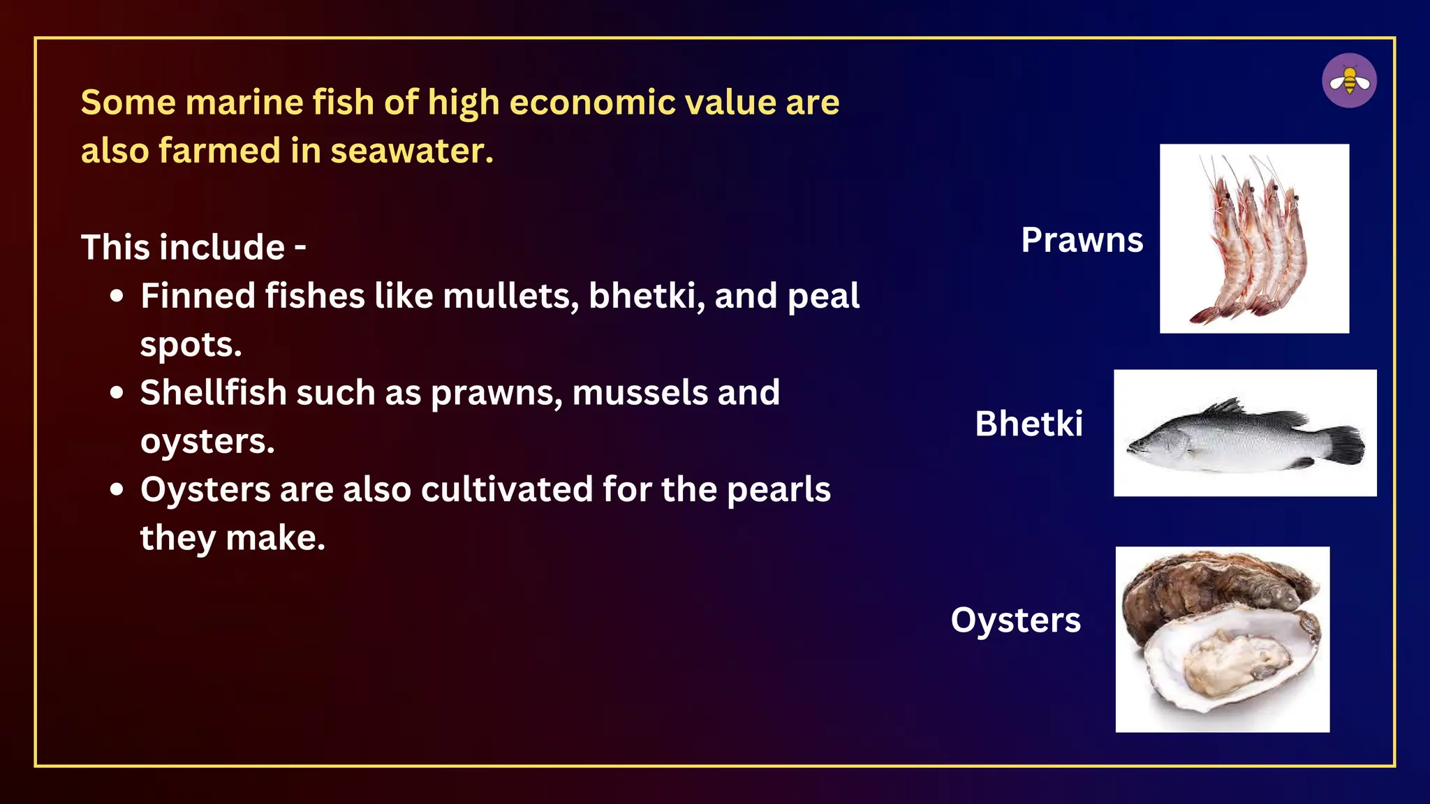 Some marine fish of high economic value are
also farmed in seawater.
This include -
Finned fishes like mullets, bhetki, and peal
spots.
Shellfish such as prawns, mussels and
oysters.
Oysters are also cultivated for the pearls
they make.
Prawns
Bhetki
Oysters
 