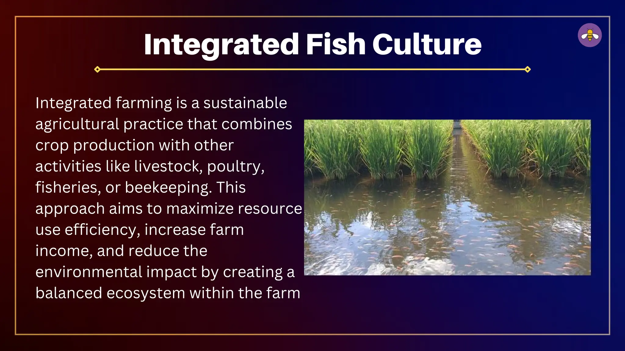 Integrated Fish Culture
Integrated farming is a sustainable
agricultural practice that combines
crop production with other
activities like livestock, poultry,
fisheries, or beekeeping. This
approach aims to maximize resource
use efficiency, increase farm
income, and reduce the
environmental impact by creating a
balanced ecosystem within the farm
 