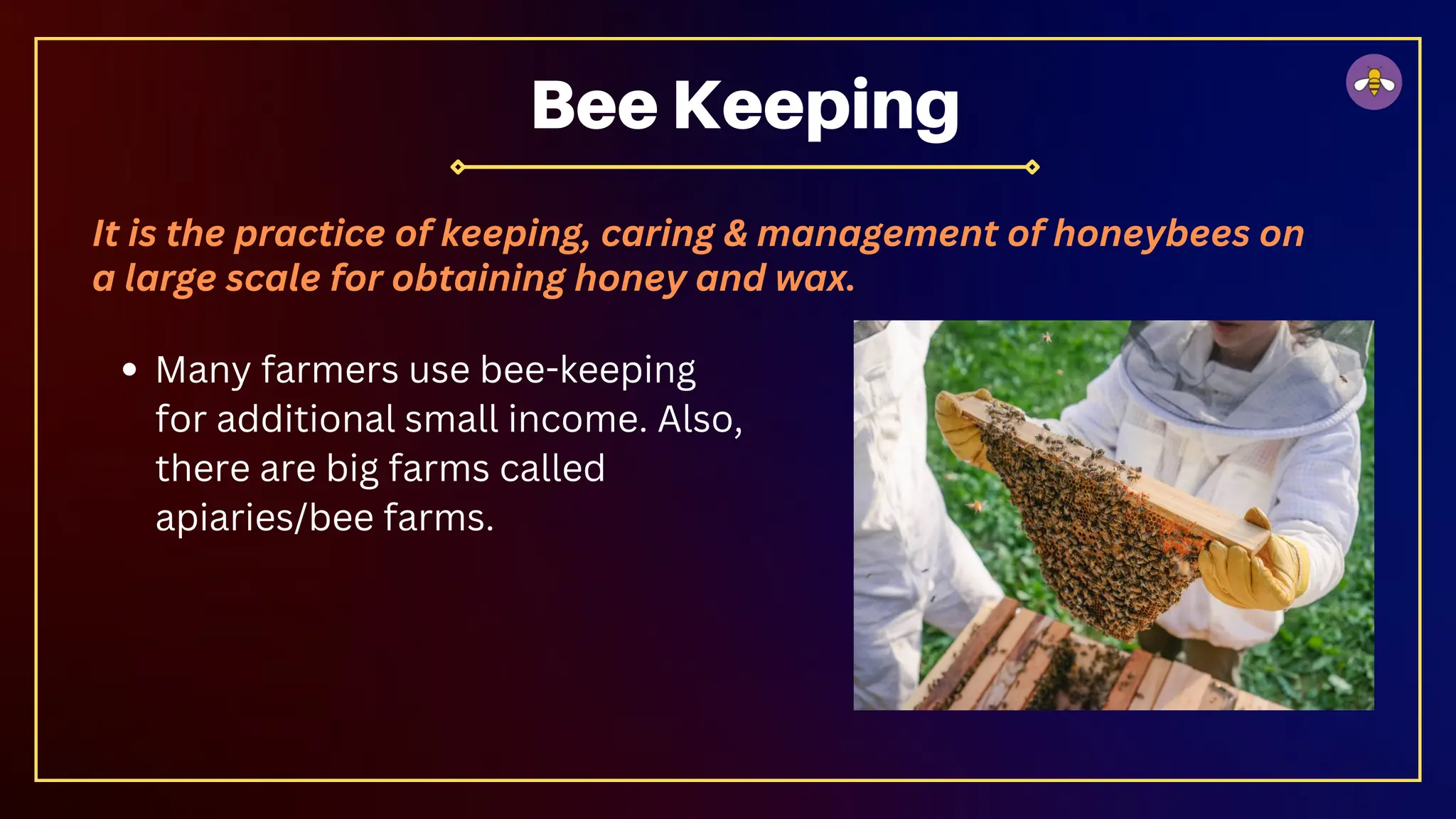 It is the practice of keeping, caring & management of honeybees on
a large scale for obtaining honey and wax.
Many farmers use bee-keeping
for additional small income. Also,
there are big farms called
apiaries/bee farms.
Bee Keeping
 
