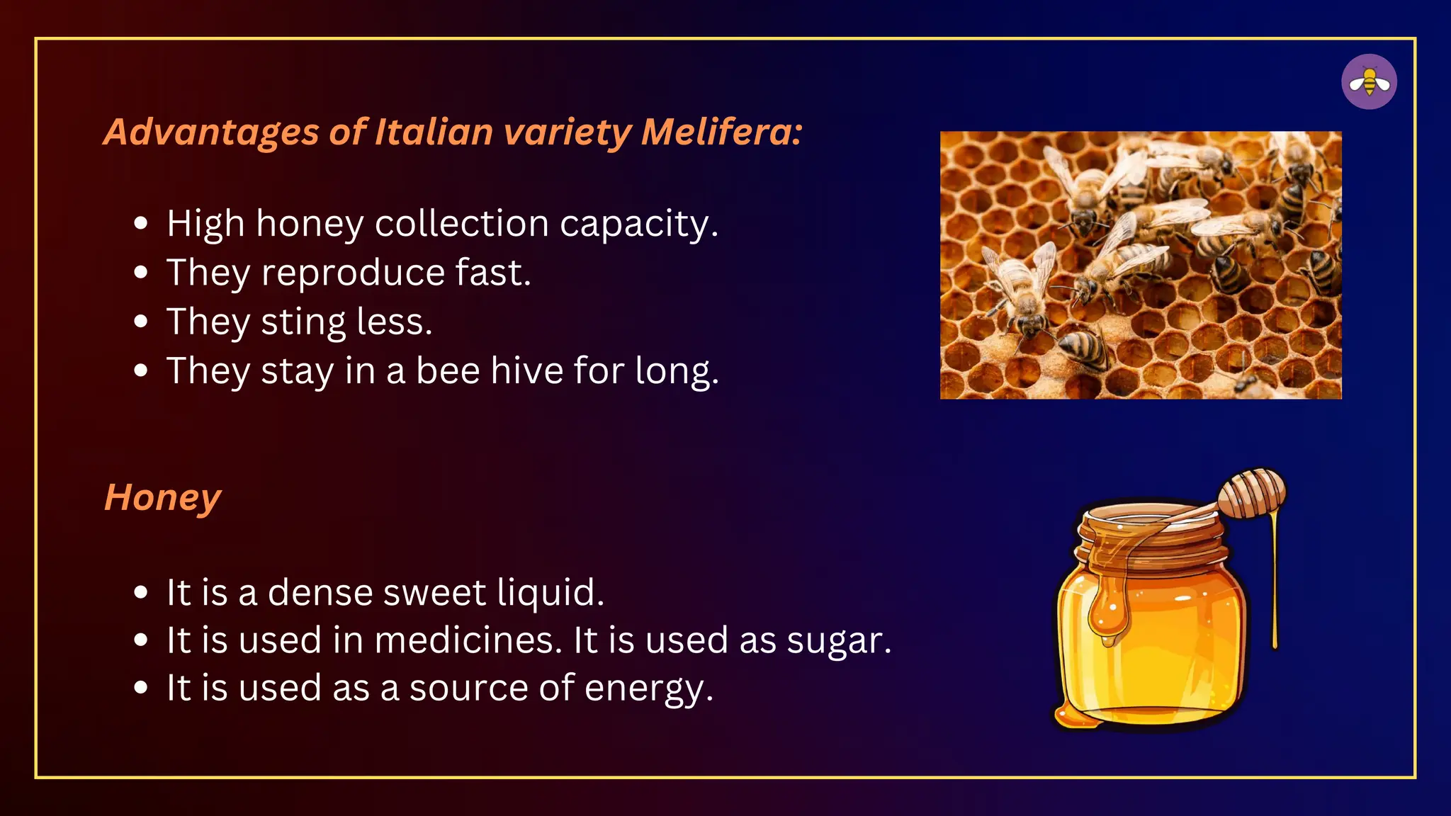 Advantages of Italian variety Melifera:
High honey collection capacity.
They reproduce fast.
They sting less.
They stay in a bee hive for long.
Honey
It is a dense sweet liquid.
It is used in medicines. It is used as sugar.
It is used as a source of energy.
 