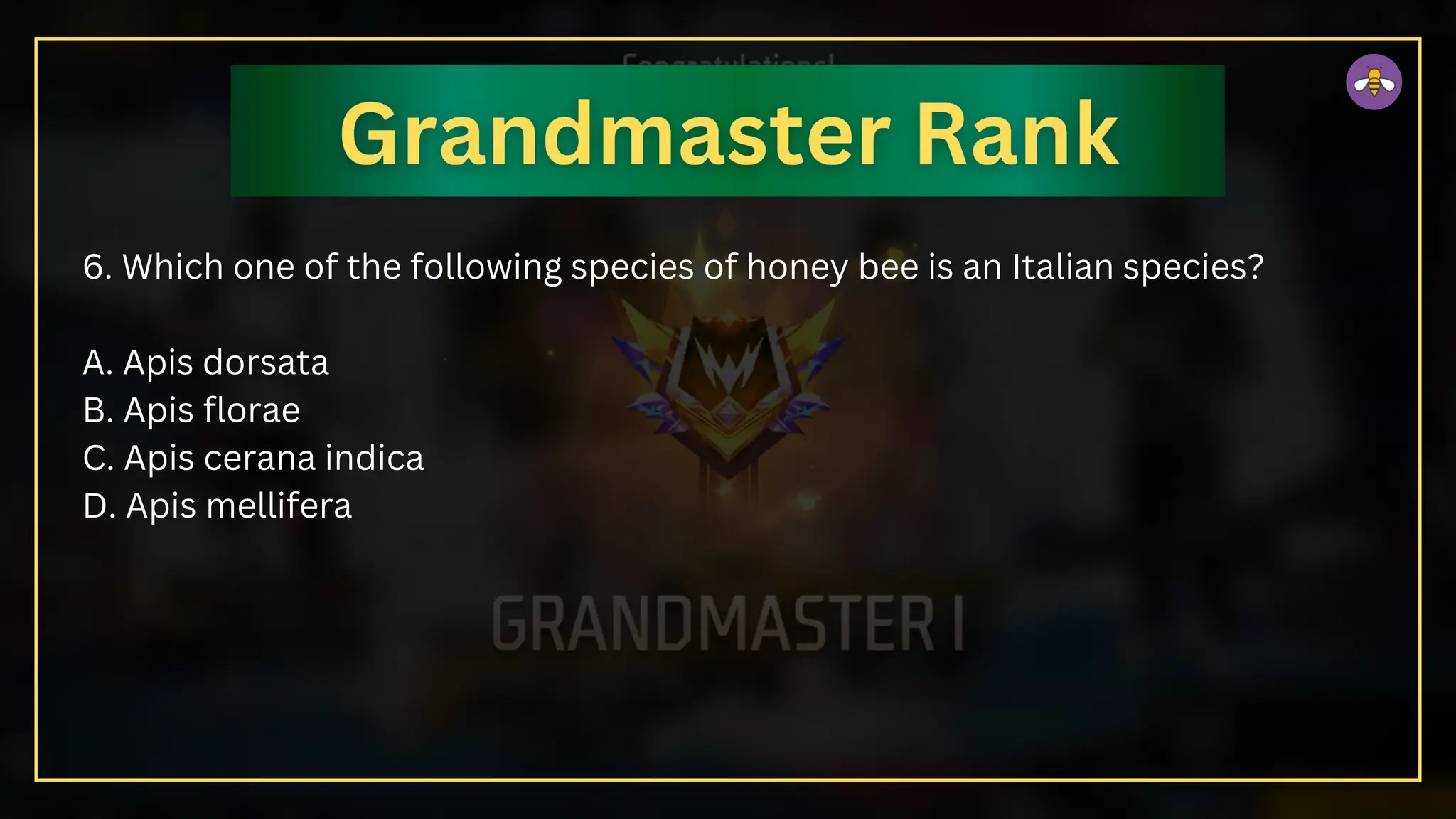 6. Which one of the following species of honey bee is an Italian species?
A. Apis dorsata
B. Apis florae
C. Apis cerana indica
D. Apis mellifera
 