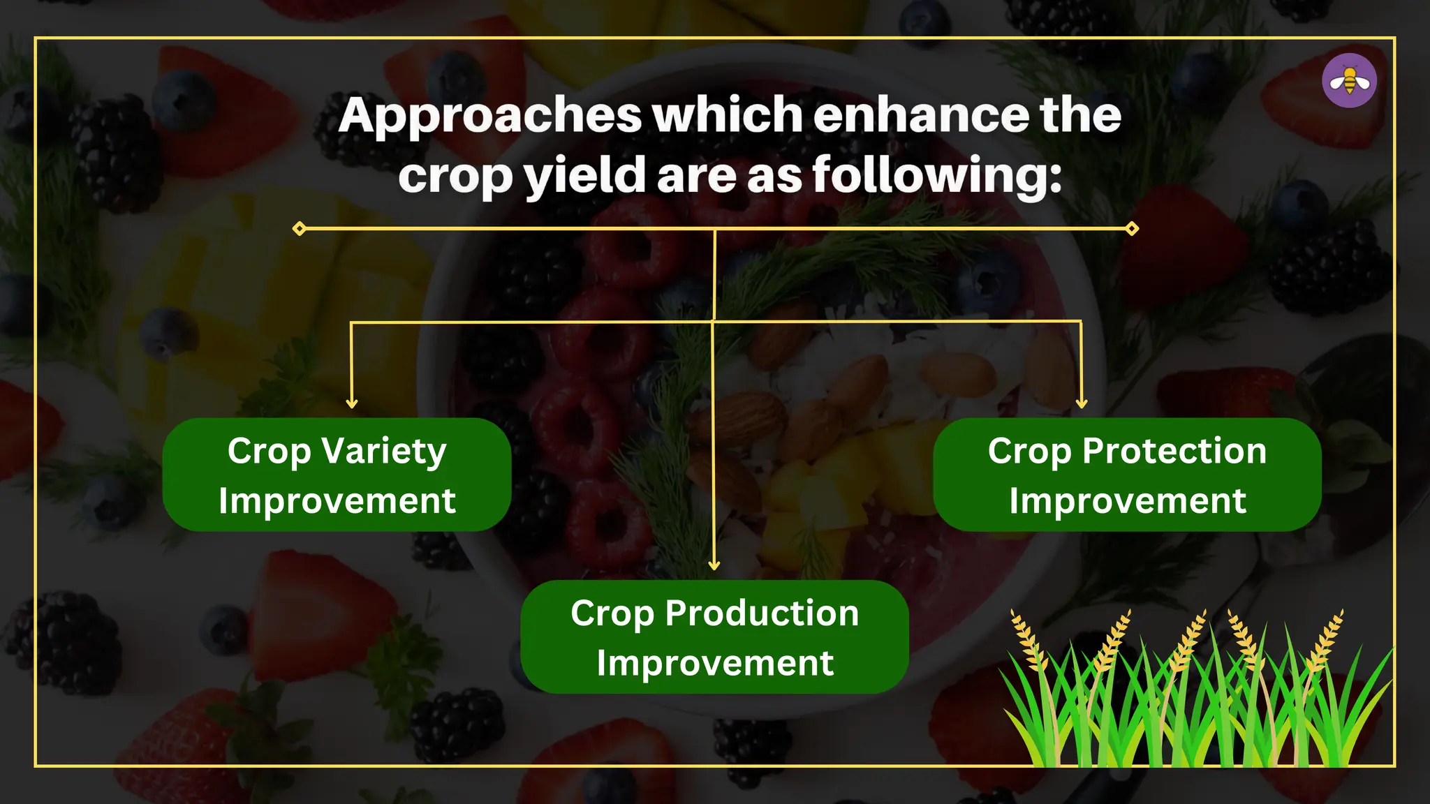 Crop Variety
Improvement
Crop Protection
Improvement
Crop Production
Improvement
 