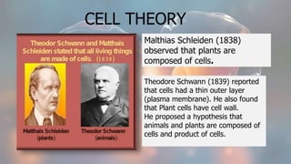 CELL THEORY
Malthias Schleiden (1838)
observed that plants are
composed of cells.
Theodore Schwann (1839) reported
that cells had a thin outer layer
(plasma membrane). He also found
that Plant cells have cell wall.
He proposed a hypothesis that
animals and plants are composed of
cells and product of cells.
 