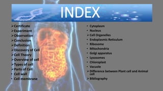INDEX
Certificate
Experiment
Observation
Conclusion
Definition
Discovery of Cell
Cell Theory
Overview of cell
Types of cell
Parts of Cell
• Cell wall
• Cell membrane
• Cytoplasm
• Nucleus
Cell Organelles
• Endoplasmic Reticulum
• Ribosome
• Mitochondria
• Golgi apparatus
• Lysosomes
• Chloroplast
• Vacuole
Difference between Plant cell and Animal
cell
Bibliography
 
