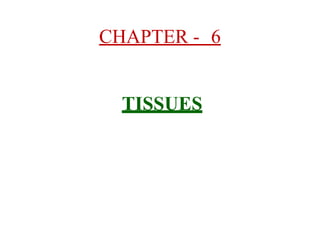 CHAPTER - 6
TISSUES
 