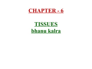 CHAPTER - 6
TISSUES
bhanu kalra
 