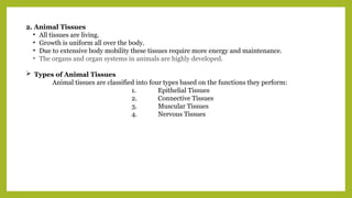 2. Animal Tissues
• All tissues are living.
• Growth is uniform all over the body.
• Due to extensive body mobility these tissues require more energy and maintenance.
• The organs and organ systems in animals are highly developed.
 Types of Animal Tissues
Animal tissues are classified into four types based on the functions they perform:
1. Epithelial Tissues
2. Connective Tissues
3. Muscular Tissues
4. Nervous Tissues
 