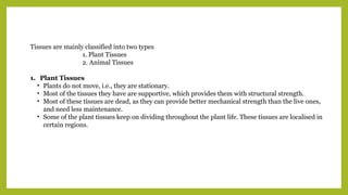 Tissues are mainly classified into two types
1. Plant Tissues
2. Animal Tissues
1. Plant Tissues
• Plants do not move, i.e., they are stationary.
• Most of the tissues they have are supportive, which provides them with structural strength.
• Most of these tissues are dead, as they can provide better mechanical strength than the live ones,
and need less maintenance.
• Some of the plant tissues keep on dividing throughout the plant life. These tissues are localised in
certain regions.
 