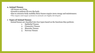 2. Animal Tissues
•All tissues are living.
•Growth is uniform all over the body.
•Due to extensive body mobility these tissues require more energy and maintenance.
•The organs and organ systems in animals are highly developed.
 Types of Animal Tissues
Animal tissues are classified into four types based on the functions they perform:
1. Epithelial Tissues
2. Connective Tissues
3. Muscular Tissues
4. Nervous Tissues
 