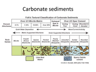 Carbonate sediments
 