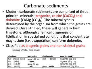 Carbonate sediments
• Modern carbonate sediments are comprised of three
principal minerals: aragonite, calcite (CaCO3) and
dolomite (CaMg (CO3)2). The mineral type is
determined by the organism from which the grains are
derived. Once lithified, these will generally form
limestone, although chemical diagenesis or
lithification in specialized conditions that concentrate
magnesium (i.e, evaporation) can form dolomite.
• Classified as biogenic grains and non skeletal grains
 